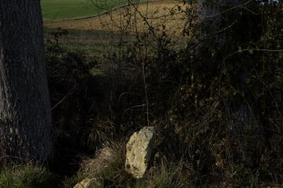 photograph “II.2016” par David Farreny — www.farreny.net — France, campagne, countryside, champs, fields, ruisseau, stream, arbres, trees, pierre, stone, rocher, roc, rock, broussailles, brushwood, scrub, tronc, trunk, herbe, grass, profusion, Occitanie, Gascogne, Gers, Gascony, Peyrusse-Massas