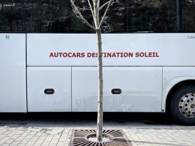 photograph “III.2024” par David Farreny — www.farreny.net — Andorre, Andorra, Canillo, trottoir, pavement, pierre, stone, car, autocar, coach, bus, autobus, voyage, travel, tourisme, tourism, métal, metal, arbre, tree, arbuste, shrub, tronc, trunk, roue, wheel, coffre, inscription, sign, Autocars destination soleil, Coaches destination sun, slogan, rouge, red, vitre, verre, glass, reflets, reflections, branches