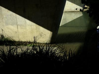 photograph “XII.2016” par David Farreny — www.farreny.net — France, pont, bridge, rivière, river, béton, concrete, eau, water, ombre, shadow, plantes, plants, feuilles, leaves, feuillage, foliage, piles, supports, piers, reflet, reflection, lumière, light, Occitanie, Gascogne, Gascony, Gers, Auch