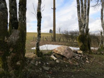 photograph “III.2013” par David Farreny — www.farreny.net — France, poteau, électrique, electricity, pole, arbres, trees, rochers, rocks, neige, snow, mousse, moss, cailloux, stones, haie, hedge, clôture, fence, troncs, trunks, campagne, countryside, Occitanie, Rouergue, Aveyron, Salles-Curan