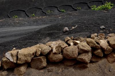 photograph “V.2016 — Lancerotte, 6” par David Farreny — www.farreny.net — Espagne, Spain, España, Canaries, Canary, Canarias, Lanzarote, Lancerotte, île, island, La Geria, rochers, rocks, cailloux, stones, volcan, volcano, vignes, vines, vineyards, bâton, stick, lave, lava, murets, low walls, zocos, demi-cercles, semicircles, noir, black, beige, ocre, ochre