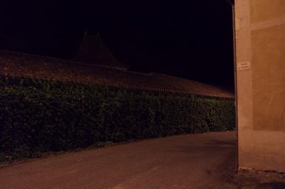 photograph “VIII.2015 — At night” par David Farreny — www.farreny.net — France, Occitanie, Gascogne, Gascony, Gers, Jegun, village, rue, street, nuit, night, soir, evening, été, summer, bâtiment, building, lierre, ivy, couche, layer, feuilles, leaves, feuillage, foliage, toit, roof, tuiles, tiles, pierre, stone, coin, corner, angle, plaque, plate, place du Foirail, gouttière, drainpipe, métal, metal, bitume, blacktop, asphalte, asphalt, noir, black, sombre, dark